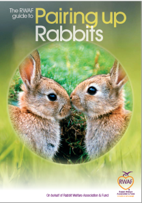 Pairing-up-rabbits-cover
